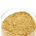 reishi extract powder polysaccharide 20%,30% 40% etc